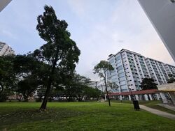Blk 517 Kaki Bukit Green (Bedok), HDB 4 Rooms #562622541